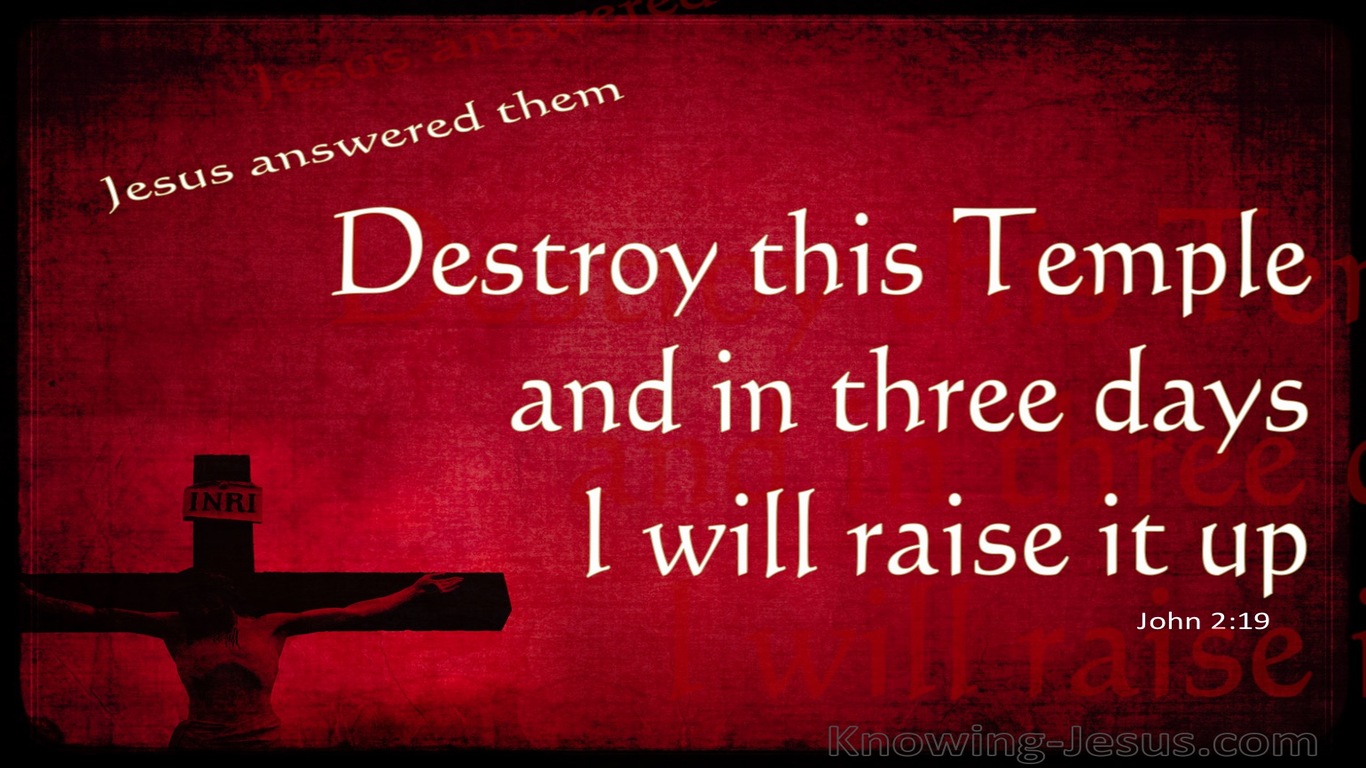John 2:19 Destroy This Temple And I Will Raise It Up (red)